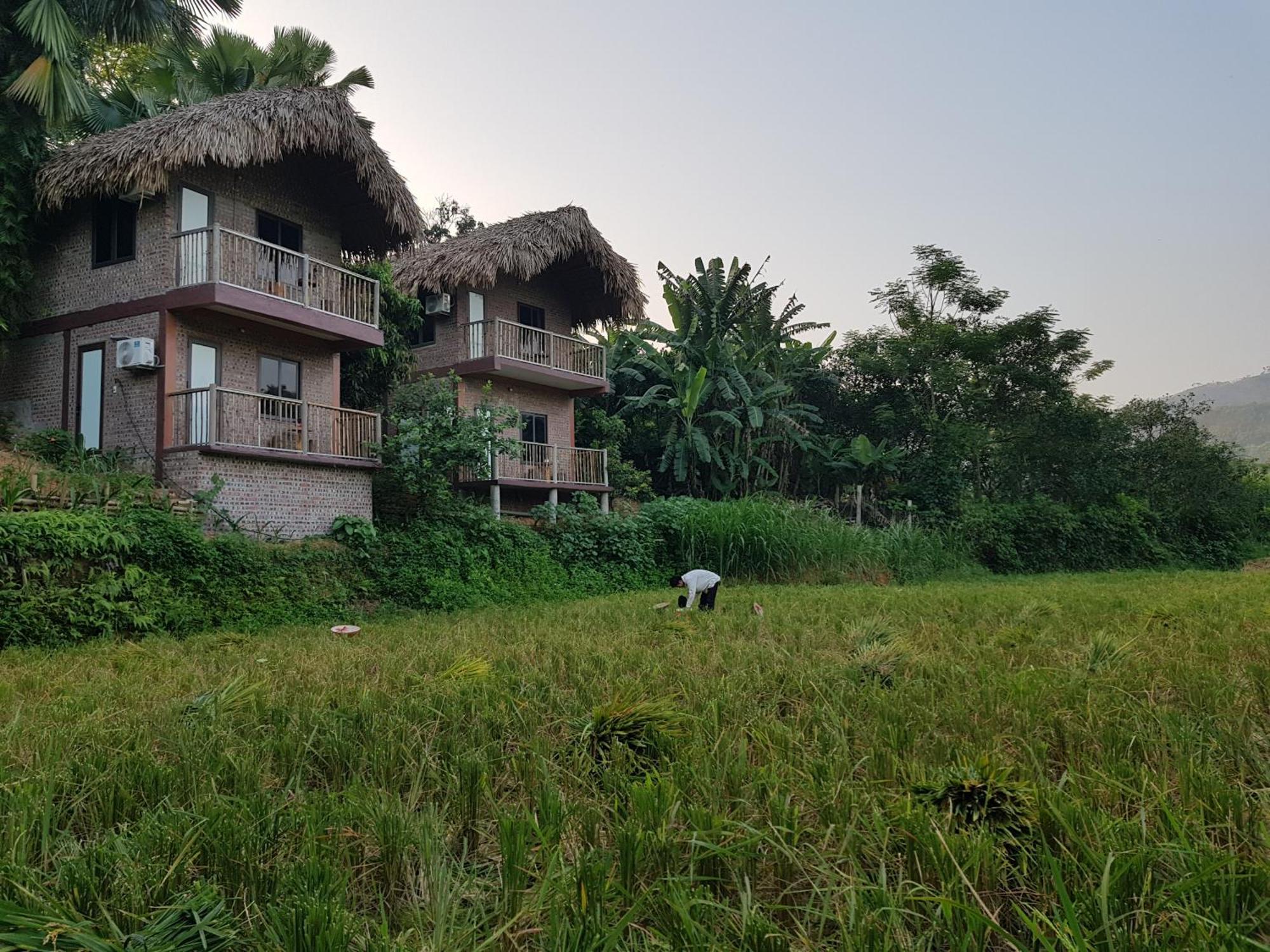 Vu Linh Palm House Homestay - Bungalow Yen Bai Exteriér fotografie