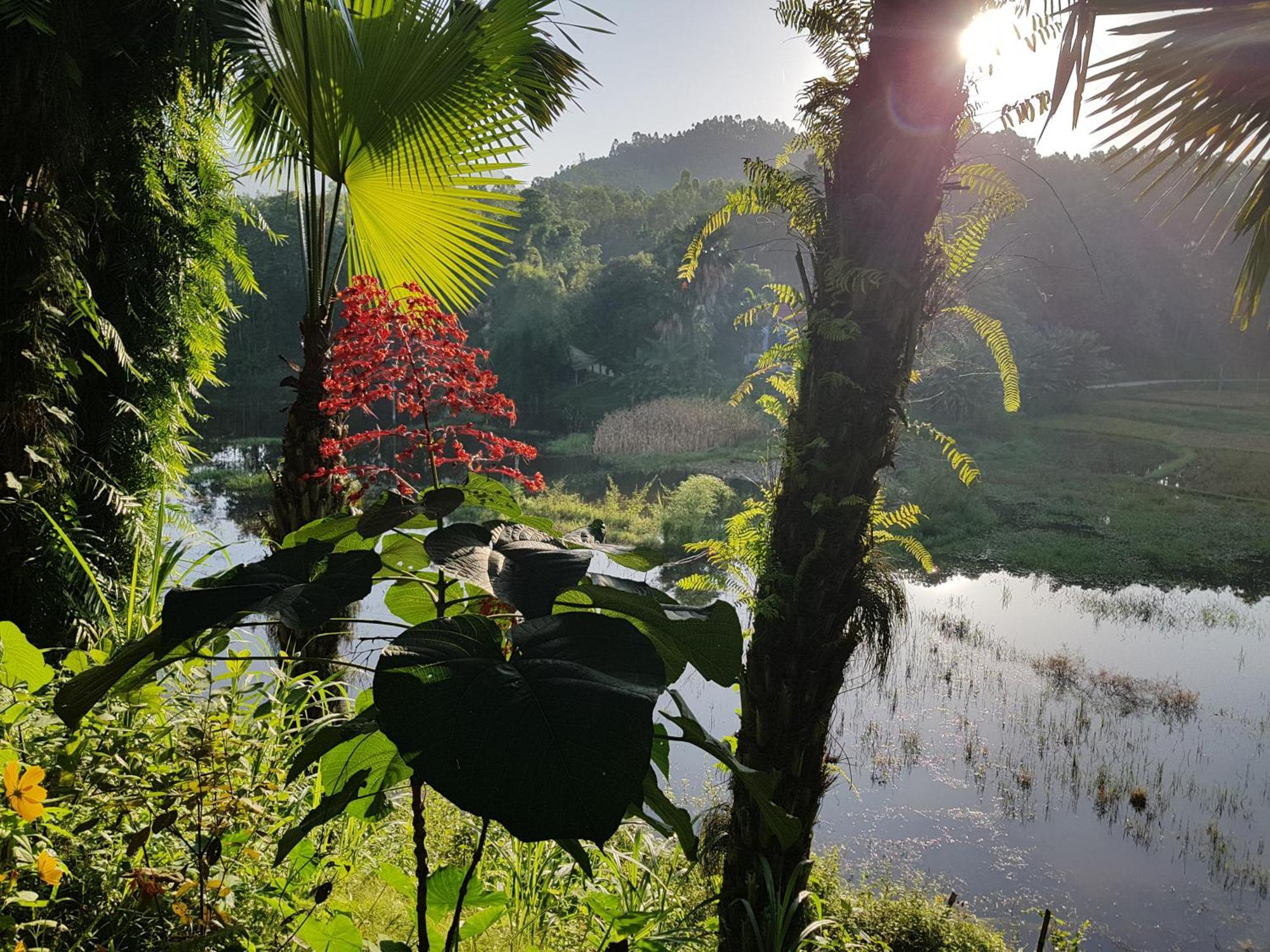 Vu Linh Palm House Homestay - Bungalow Yen Bai Exteriér fotografie