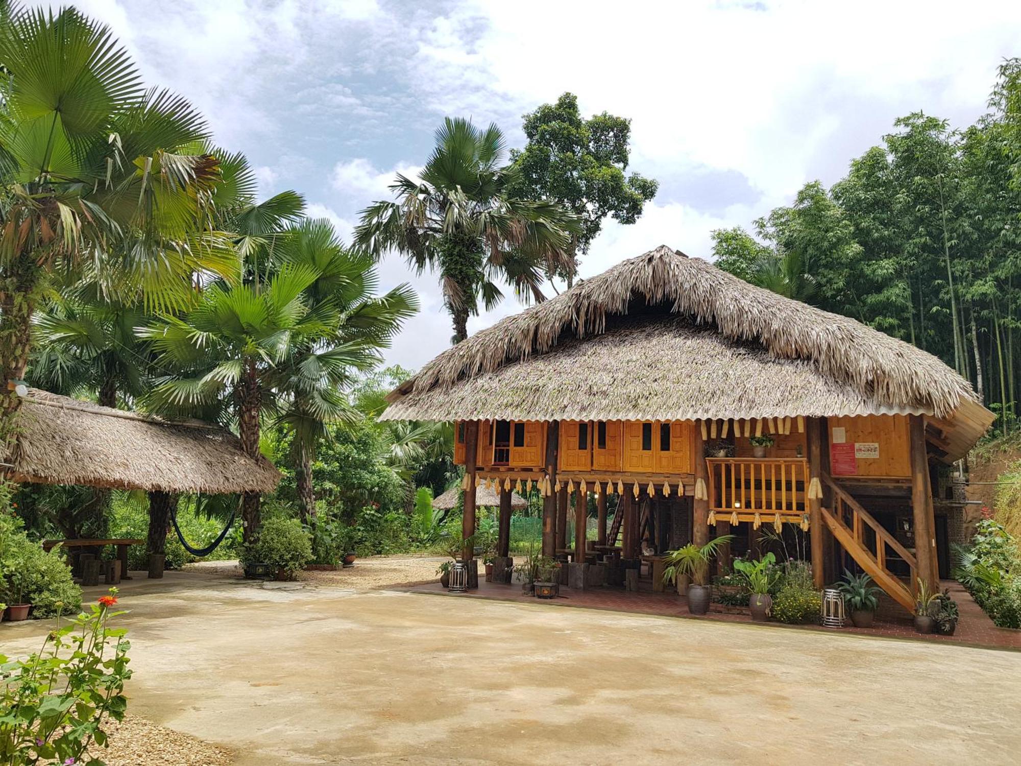 Vu Linh Palm House Homestay - Bungalow Yen Bai Exteriér fotografie