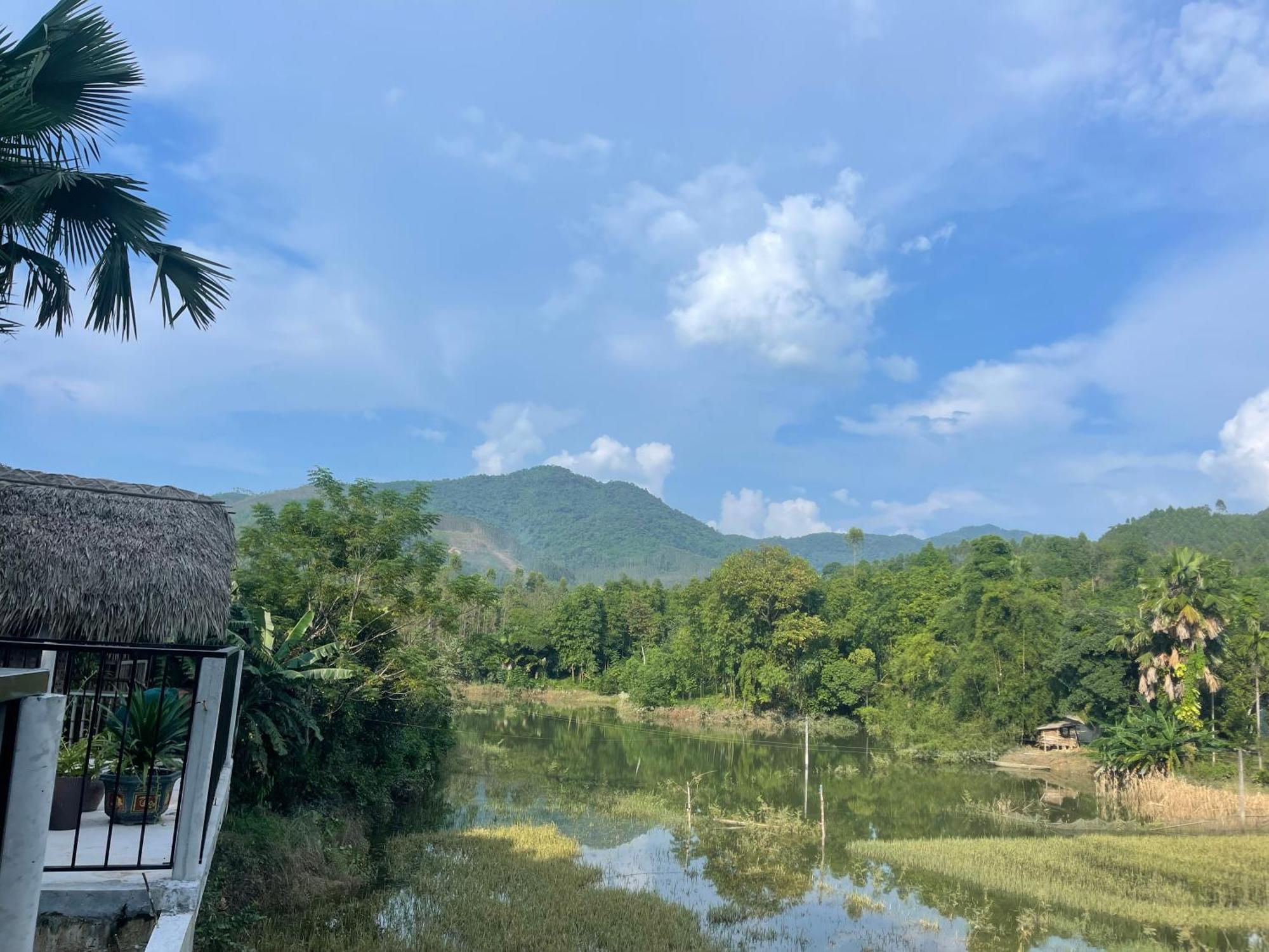 Vu Linh Palm House Homestay - Bungalow Yen Bai Exteriér fotografie