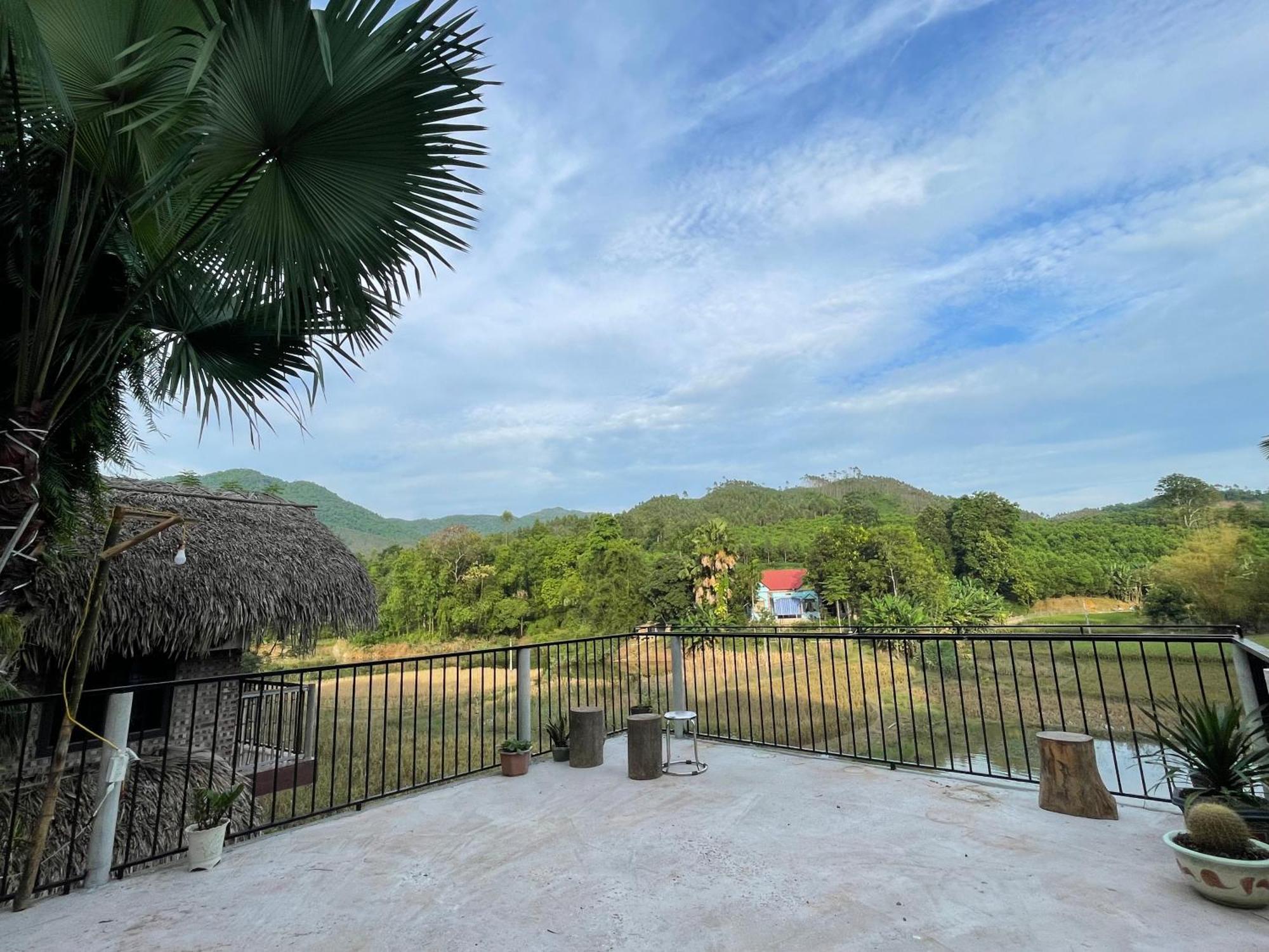 Vu Linh Palm House Homestay - Bungalow Yen Bai Exteriér fotografie