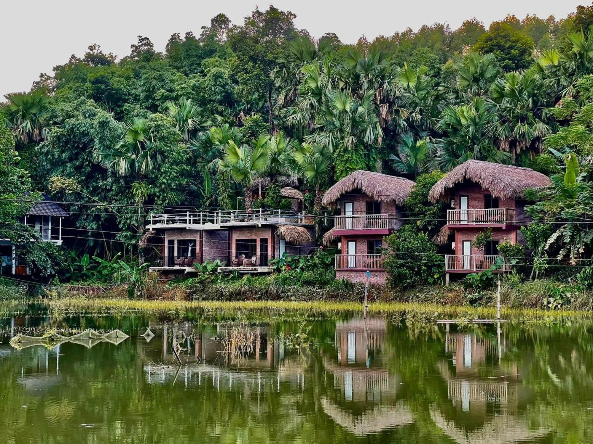 Vu Linh Palm House Homestay - Bungalow Yen Bai Exteriér fotografie