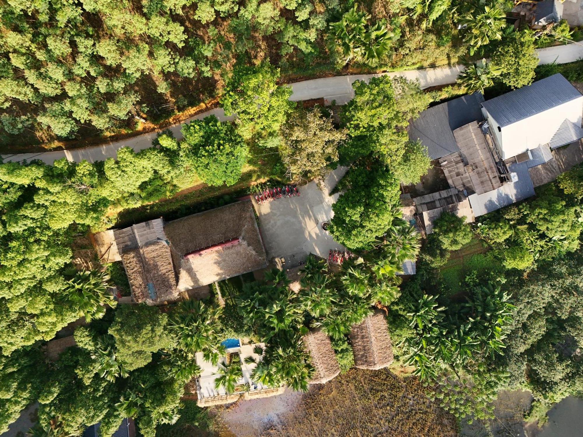 Vu Linh Palm House Homestay - Bungalow Yen Bai Exteriér fotografie